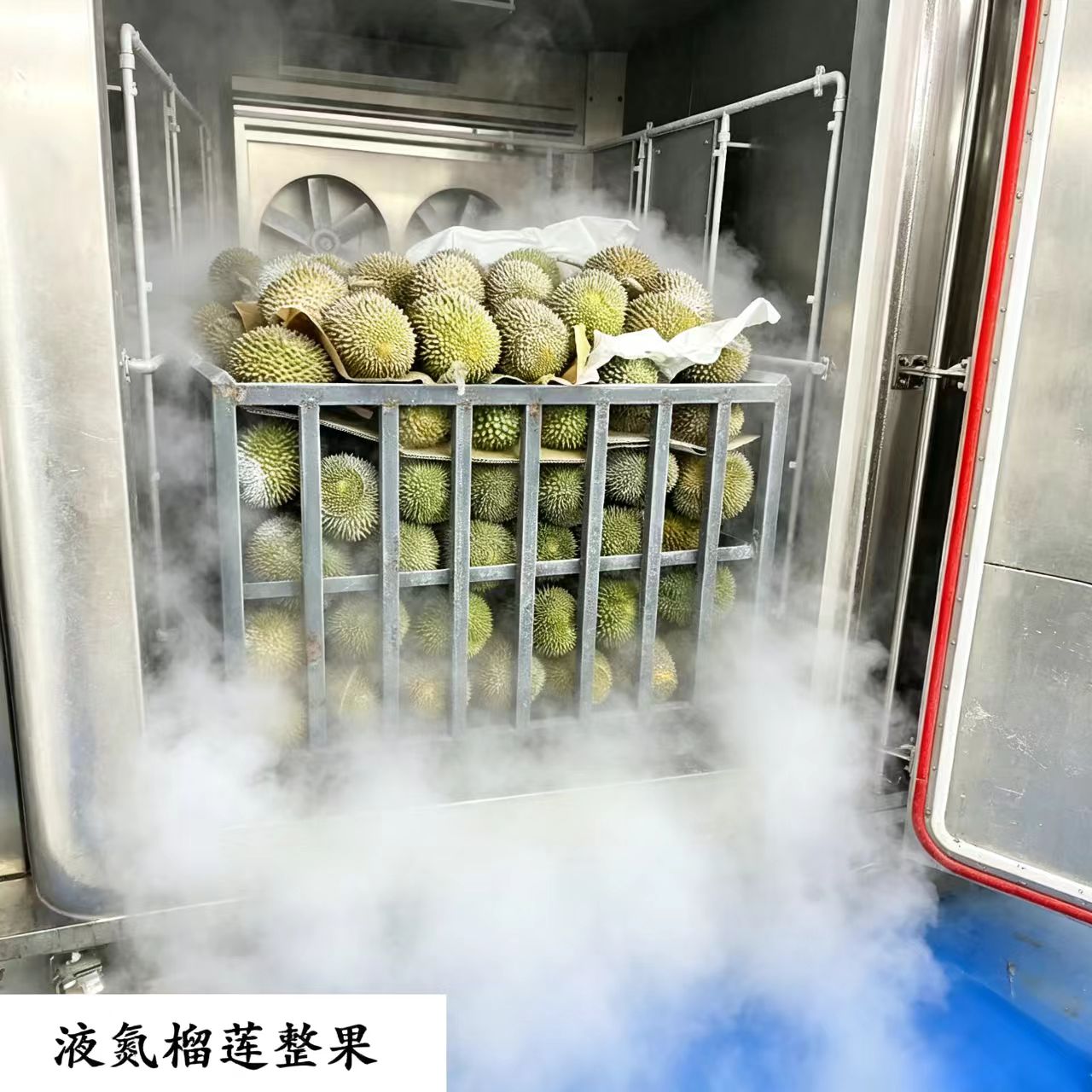 榴莲整一颗(猫山王D197)