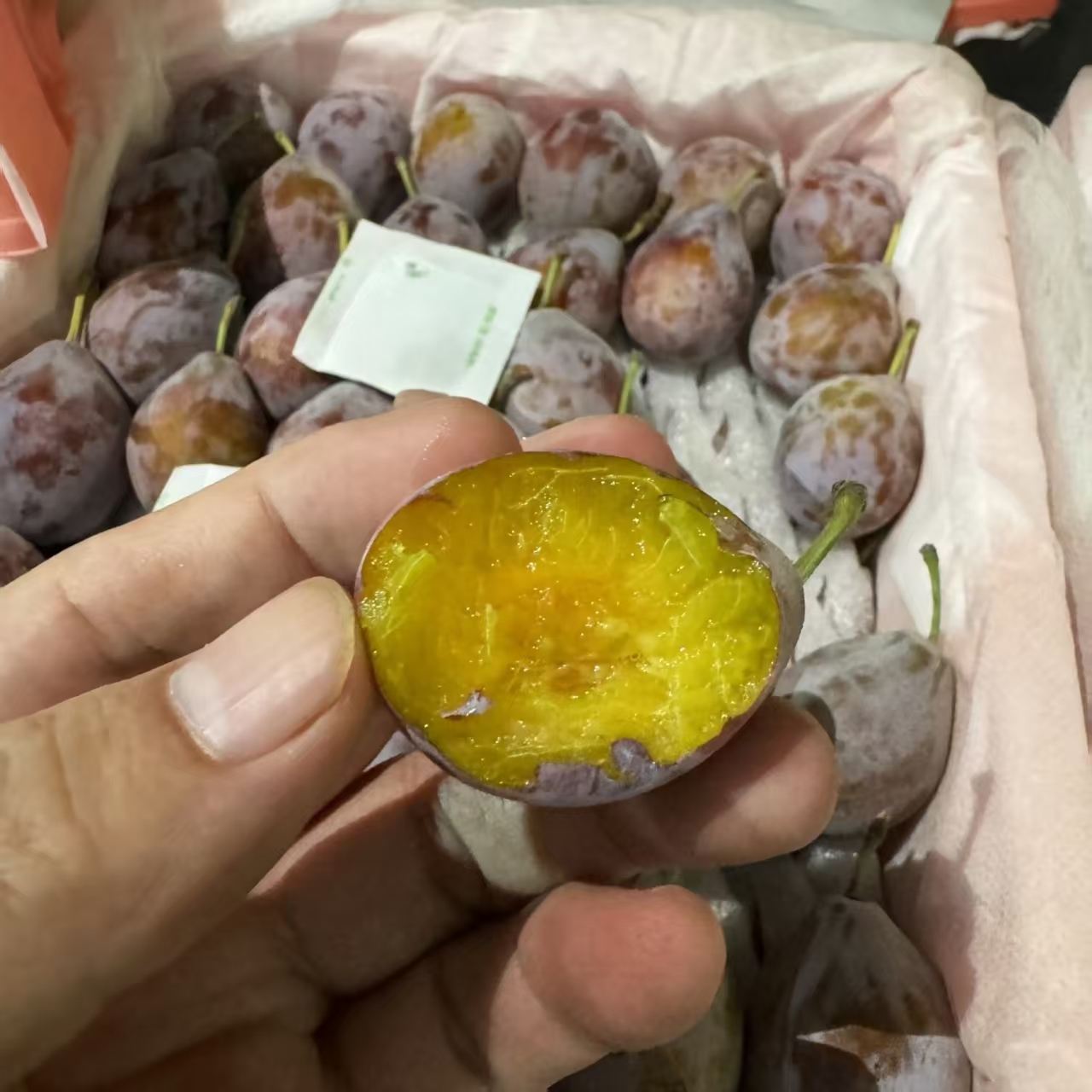西梅