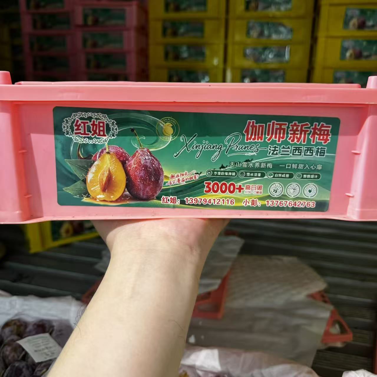 西梅