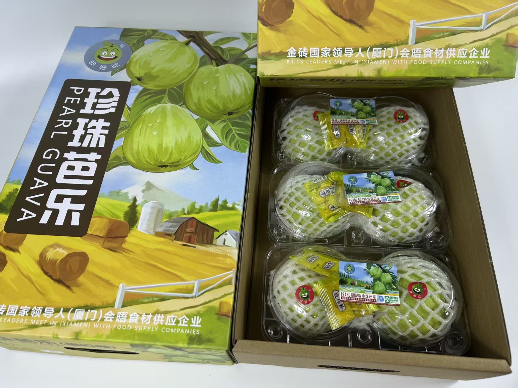 特色有机芭乐礼盒