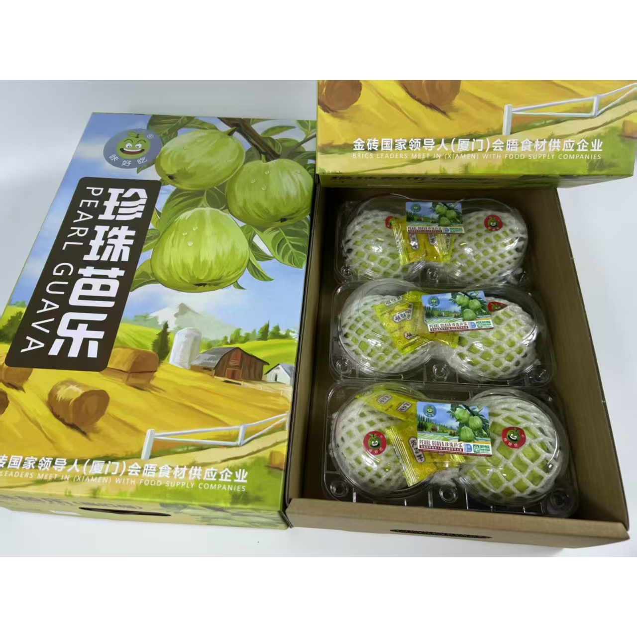 顶级有机芭乐礼盒