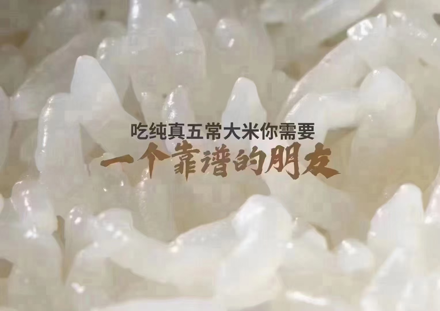 真货五常大米